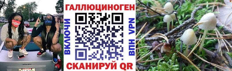 Псилоцибиновые грибы MAGIC MUSHROOMS  Щёлкино 